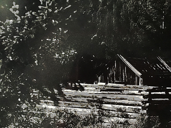 Cooks Second Store with
Sport Shop Brothel Behind.